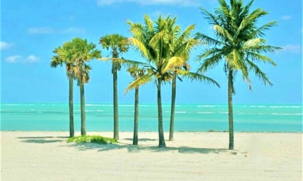 Key Biscayne Apartment | Cozy 2-bedroom Retreat with Pool, Walk to the Beach! -