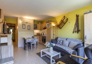 Studio cabin for 6 near slopes, mountain view in Gourette
