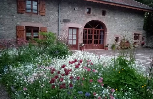 Le Tholy Apartment | Gîte du Champ du Bois: Comfort in the heart of the Vosges