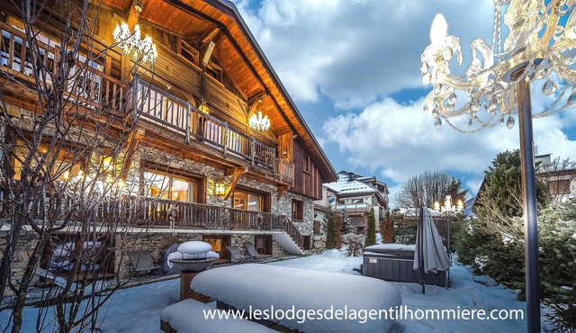 400 m slopes at the gates of Megeve Sauna SPA apartment 200m2 in cosy chalet in Praz-sur-Arly