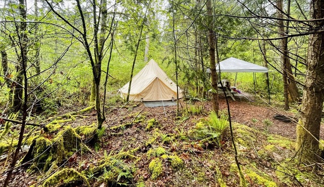Allure— Vancouver Island in Vancouver