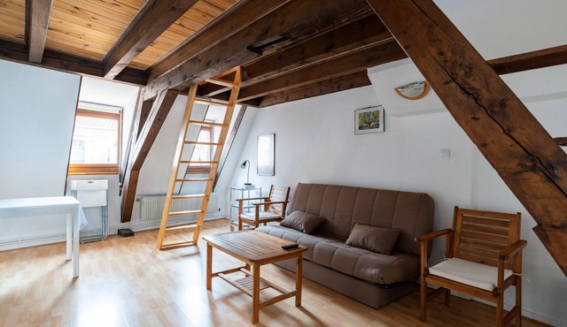 Budget St Thomas Serruriers, CityCosy-Strasbourg: St Thomas Serruriers in Strasbourg