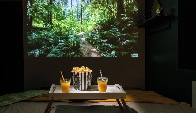 Cap Jungle*Cinéma Immersif with video projector in Limoux