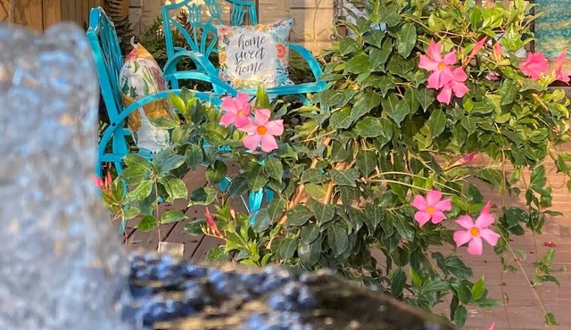 Charming bungalow near downtown Round Rock! High speed Wi-Fi! in Round Rock