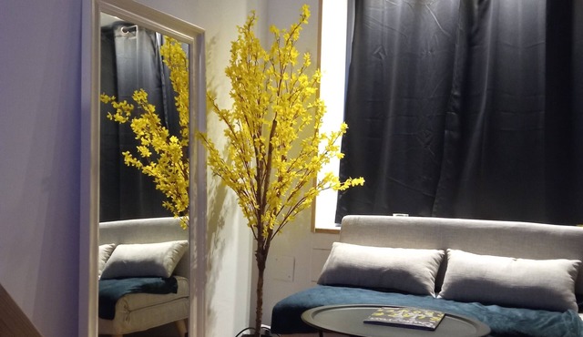 Charming studio in the heart of a shopping street, 2 steps from NAVAL GROUP in Cherbourg-en-Cotentin