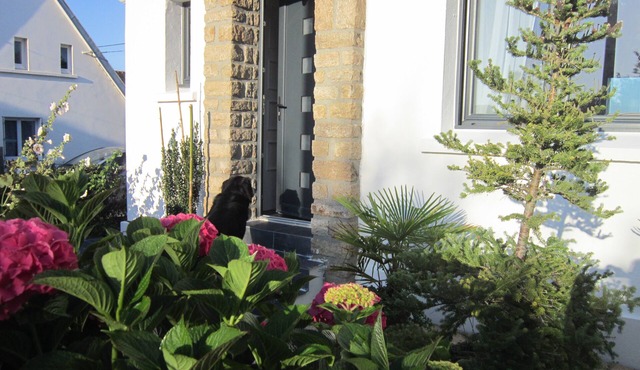 Charming house, 3*, 400m from the beach, GR34 and thalasso baths in Concarneau