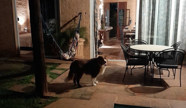 Charming house - for two and their pets in Ilhabela