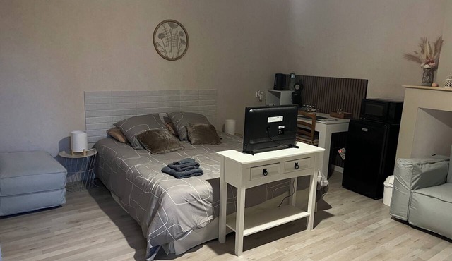 Cozy Room in Thouars