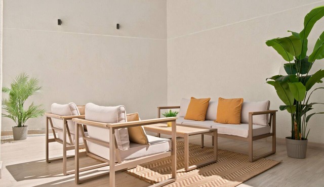 Delicias Luxe Terrace apartment in Madrid in Madrid