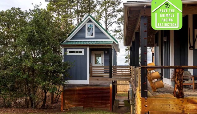 Elevated Cabin in the Trees Perfect for a Weekend Getaway in the Outer Banks, North Carolina in Kitty Hawk