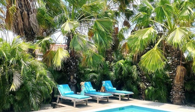 Endless Summer - Stunning 3-bedroom Vacation Villa located in Noord. in Bakval