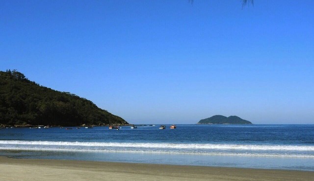 Enjoy nature just 50m from the beach at Chalé Cutia. in Florianópolis