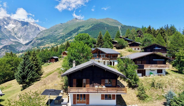 Enjoy the peace and quiet, the wide-open spaces, and the breathtaking views in Bellwald in Bellwald