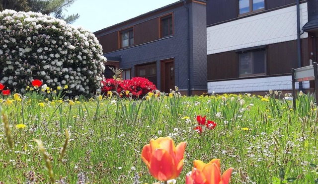 Holiday flat with garden terrace in Meuselbach