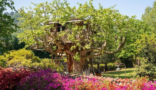 Lake Como Dream Treehouse in Como