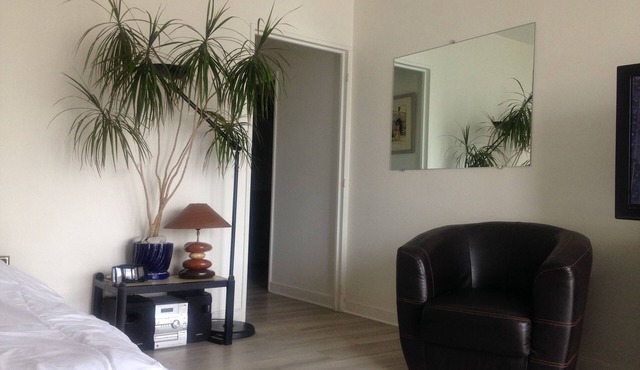 Large 36m2 studio near Eiffel Tower in Paris