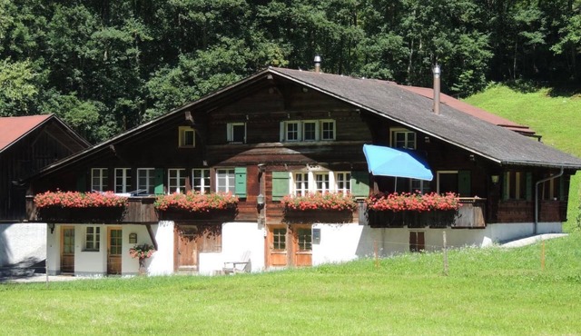 Lengwaldwohnung 285 by Interhome in Lauterbrunnen