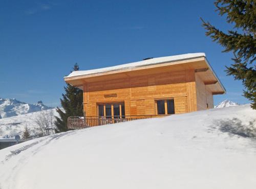 Lovely chalet in Plan Peisey in Peisey-Nancroix