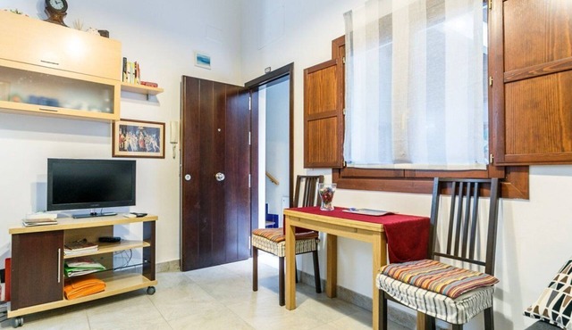 LUXURY APARTMENT NEAR CATHEDRAL WITH INTERNET WIFI FREE&SAT (OPTIONAL PARKING) in Sevilla