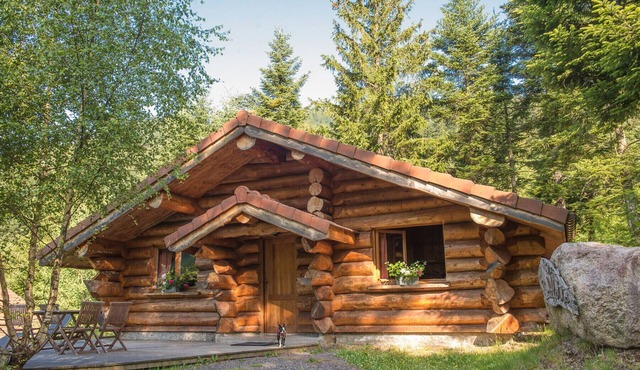 Magnifique chalet rondins à La Bresse, idéal famille, wifi, calme, terrasse in La Bresse