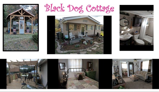 NEW LISTING ♥ Quiet Cottage Nestled in the Foothills - Pet Friendly! ♥ in Lenoir