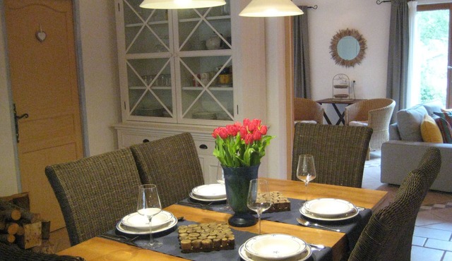 Perfect with children and dogs: Meticulously renovated 4 stars chalet in Lorgues