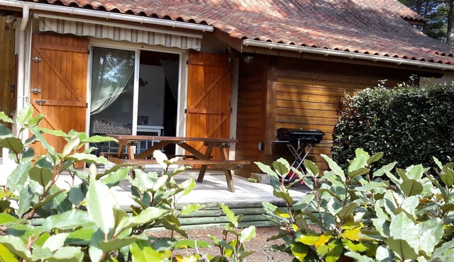 quiet house in the heart of the pine forest in pedestrian area. Near beaches in Lacanau