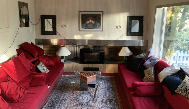 Quiet house under the pines near Limoux center in La Digne-d'Aval
