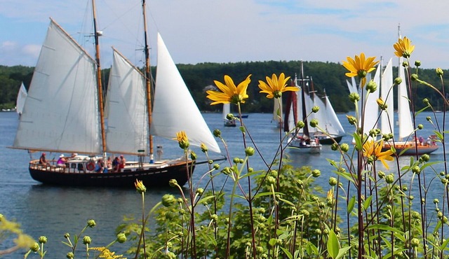 Relax and Enjoy in Mahone Bay