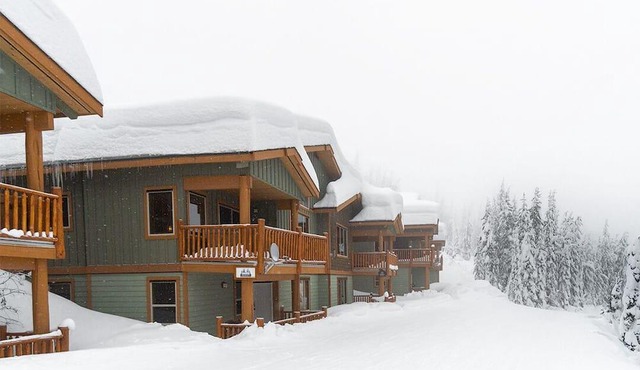 Silver Tip Chalet, direct ski in/ski out to Serwas, Private hot tub, fireplace in Beaverdell