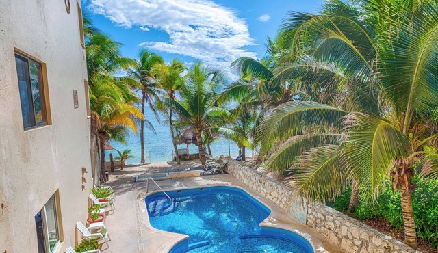 Spacious and serene, beachfront condo with AC, WiFi, onsite restaurant, pool! in Akumal