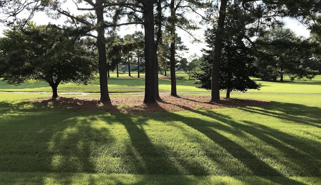 Stunning 1 Bedroom condo on River Golf Course Ninth Hole. in Williamsburg