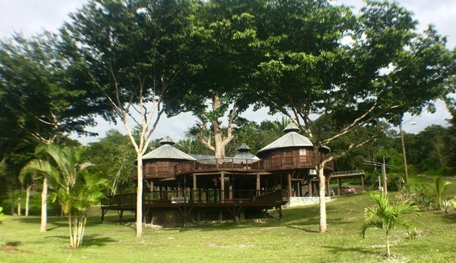 Stunning Tree House with Private Pool Surrounded by Nature in Cayo District, Belize in Bullet Tree Falls