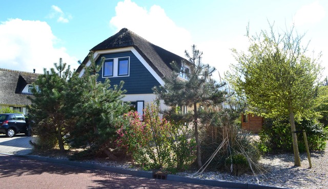 Thatched-roof luxury villa with a sauna and solarium close to the beach in Noord-Holland
