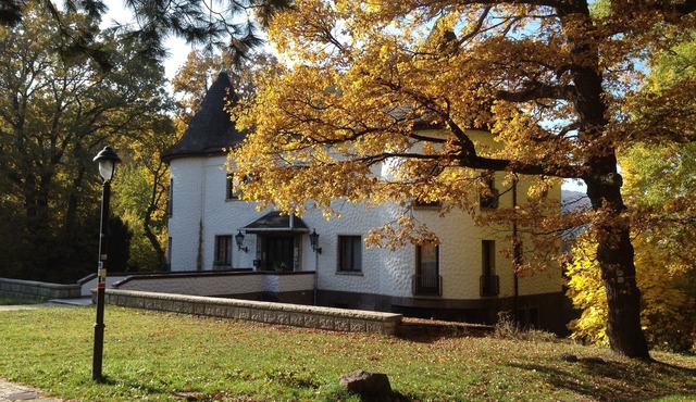 Villa Warzenburg, apartment 3 with a view of the spa promenade. Vacation with a dog. in Friedrichroda