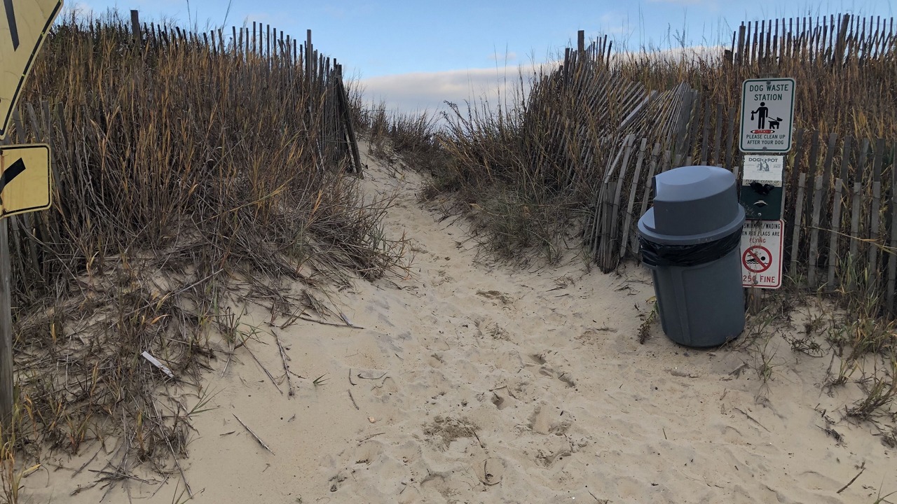 Photo of Others in Kitty Hawk