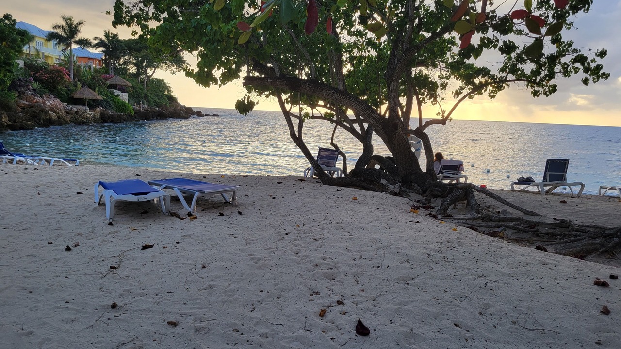 Photo of Others in Orange Bay