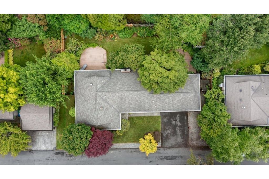 Photo of Outdoor in Mercer Island