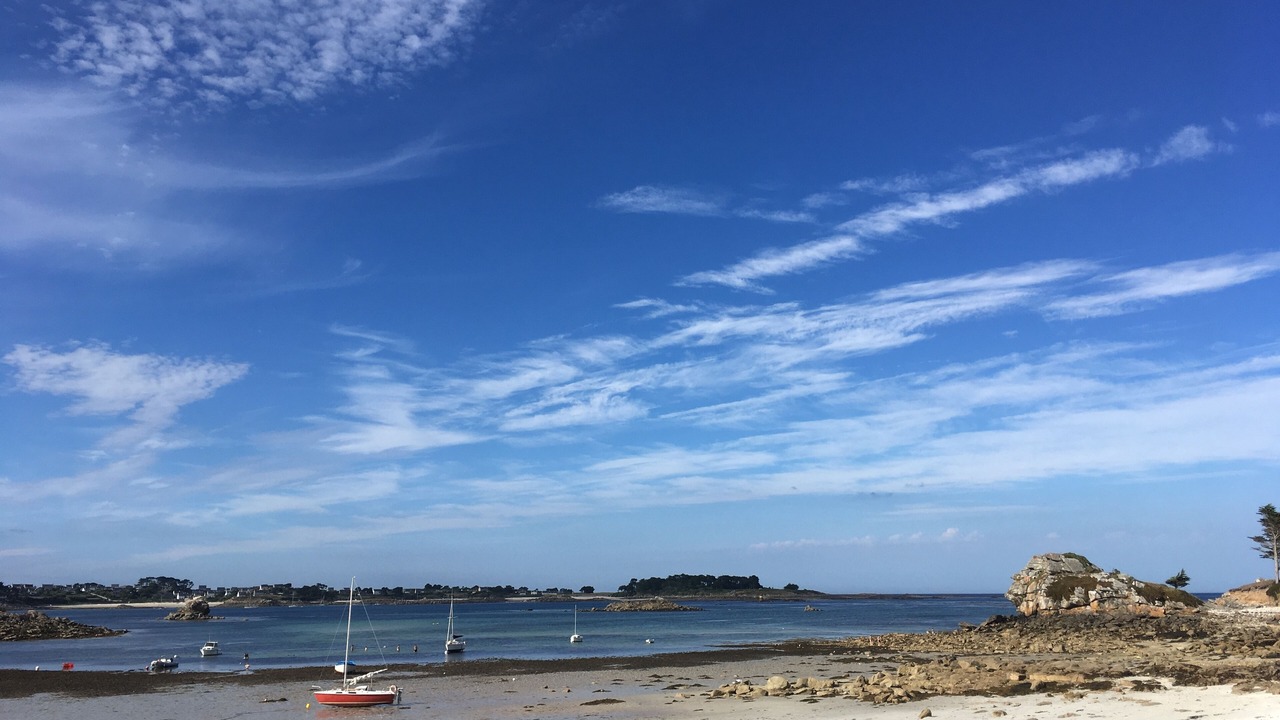 Photo of Others in Roscoff
