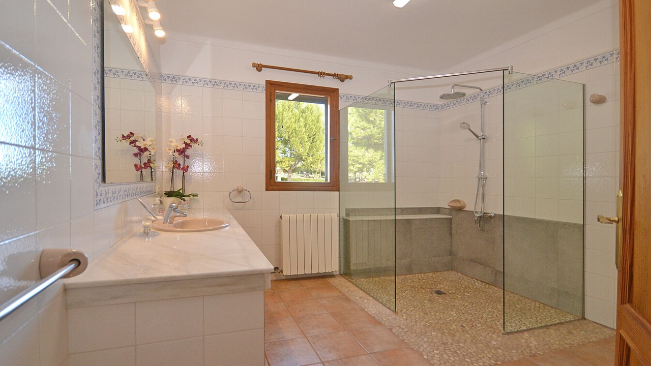 Photo of Bathroom in Sineu