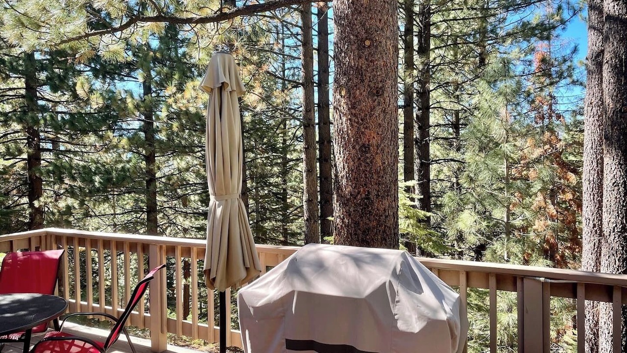 Photo of Outdoor in Pioneer Trail