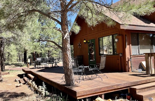 Flagstaff Cabin | Peaceful Pines Cabin -3 fenced acres, trails, slopes, downtown Flagstaff close!
