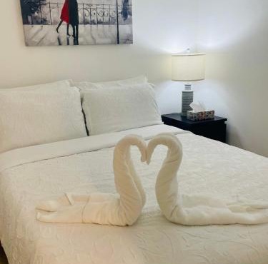 Cozy Private Room with Shared Bathroom in Toronto in Toronto